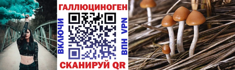 Галлюциногенные грибы Psilocybe  как найти закладки  мега ССЫЛКА  Сердобск 